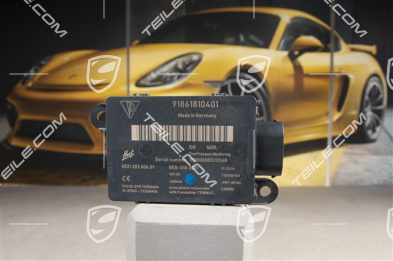 Antenne, 918 / 911 GT3/GT3RS / Cayman 981 GT4 - RDK 433 MHz