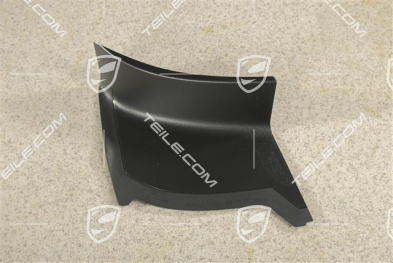 Rear light cover, outer, USA, L