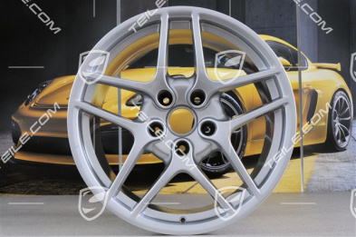 19-inch Carrera S II wheel, 11J x 19 ET67