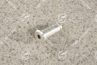 Bearing pin / bolt