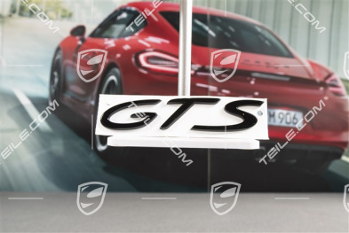 Logo "GTS", black