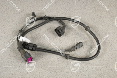 Rear axle Wiring harness, Spyder, L=R