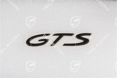 Logo "GTS", black