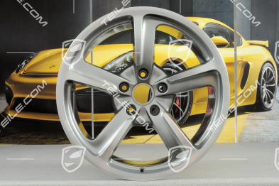 20-inch wheel, Sport Techno, 11,5J x 20 ET48, silver met.