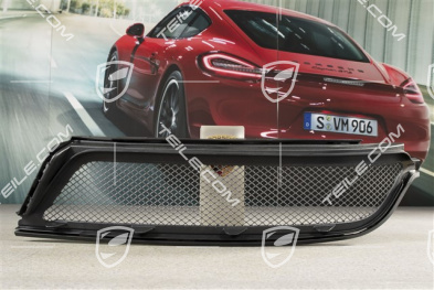 GT3RS kratka ochronna, L