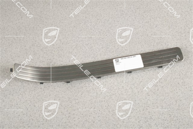 Blende, Einstiegleiste, Hinten, Edelstahl, R