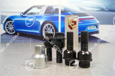 Anti-theft protection set, black