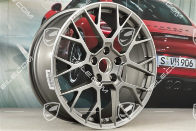 20-inch RS Spyder, wheel rim, 8,5J x 20 ET50, platinum satin matt