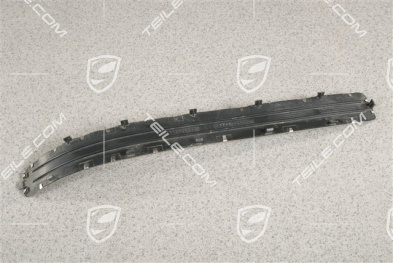 Blende, Einstiegleiste, Hinten, Edelstahl, R
