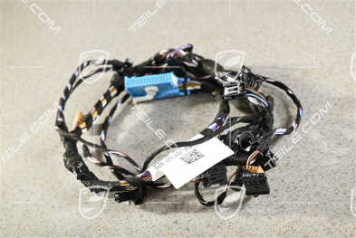 Wiązka instalancji elektrycznej drzwi przednich, Burmester, R