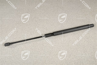 Gas-filled damper, R
