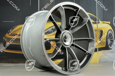 21-inch wheel GT3RS, 12,5J x 21 ET48, Platinum satin-matt