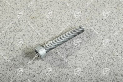 Rear Brake calliper Screw M12 x1,5 x 72 Rear Brake calliper Screw M12 x1,5 x 72