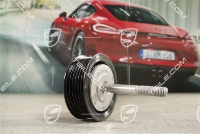 S / GTS, Deflection roller / guide / pulley with screw