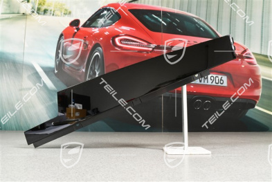 B-Säule Außen Blende, Vorne, Schwarz, Coupe, R