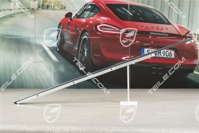 Listwa ozdobna na drzwi przednie, zawiera uszczelkę, Aluminium, R