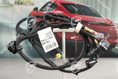 Przednia wiązka instalacji elektrycznej, VTS, tempomat