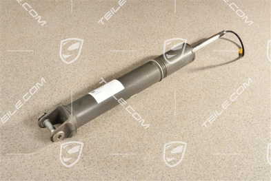 Stossdämpfer / Schwingungsdämpfer, HA, L=R