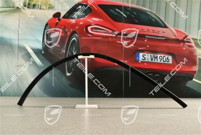 Cabrio, Türschachtabdichtung / Dichtung Türschacht, Innen, L