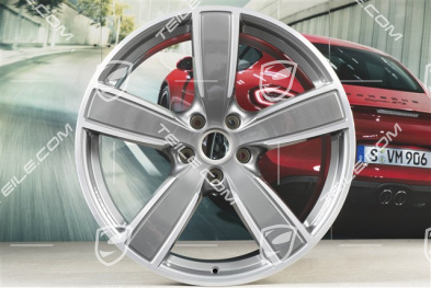 22-inch wheel rim set, Cayenne Sport Classic, 10J x 22 ET48 + 11,5J x 22 ET61, Platinum Silver