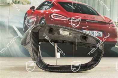 Carbon Spiegelgehäuse, R