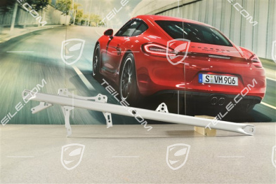 Strebe, Hinterachse, GT3 / GT3 RS, L