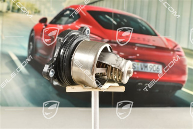 Thermostat insert 2,9L