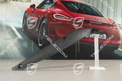 Blenda tylna blotnika przedniego, GT2 RS / GT3 RS, L