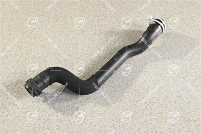 Cooling system Hose / line