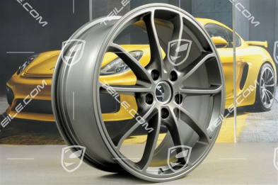 20" Felge GT4, 8,5J x 20 ET61, Platinum Seidenmatt