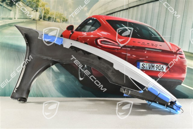GT4 RS/Spyder RS Fender / Wing, L