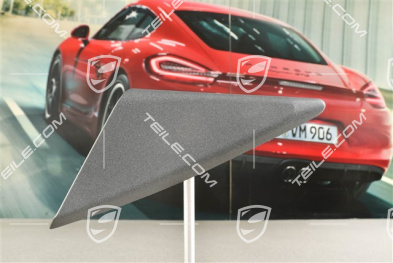 Osłona / blenda drzwi / lusterka, Granite grey, RHD