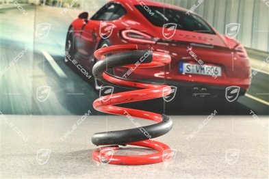 Stoßdämpferfeder 992 GT3