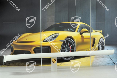 Schwellerblende lackiert, C4 / 4S / Turbo / GT3 RS, R