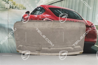 Dywan tylnej ściany / pólki, Graphite grey, Coupe