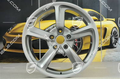 20-inch Sport Techno wheel, 10J x 20 ET50