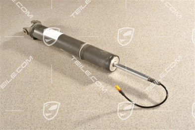 Stossdämpfer / Schwingungsdämpfer, HA, L=R