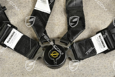 SCHROTH Racing seat belt, profi 2x2, pull-down, 6-point, black, L=R