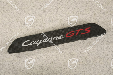 Schwellerleiste / Einstiegleiste - Blende mit Schriftzug Cayenne GTS , hinten, Carbon, R