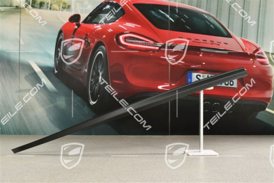 Targa, Roof edge strip / trim, R