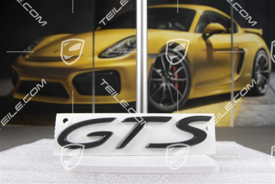 Logo "GTS", black