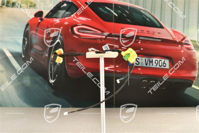 Wiring harness, Steering wheel