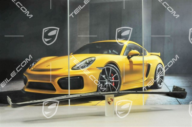 Osłona progu, Aerokit "Turbo" / Aerokit "Carrera 4S", L