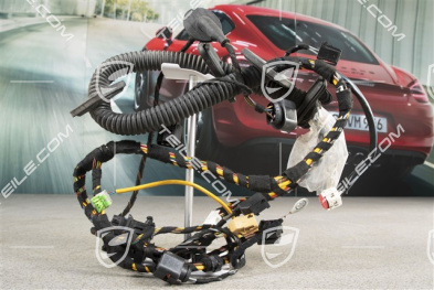 Wiring harness, Assembly frame, driver's door, L