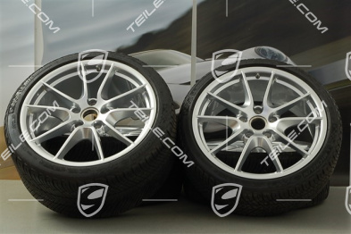 20" Carrera S (III) Winterräder Satz, Felgen 8,5J x 20 ET51 + 11J x 20 ET52 + Michelin Winterreifen 245/35 ZR20 + 295/30 ZR20 (DOT/Bj. 2014), mit RDK-Sensoren