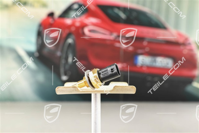 Temperature sensor