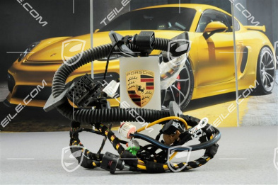 Wiring harness, Assembly frame, driver's door, L