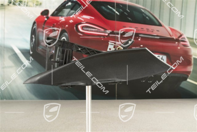 Verdeckkasten Klappe cabrio, R
