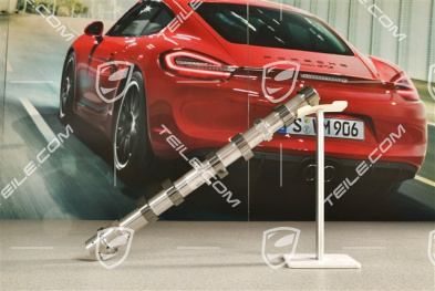 GT3 / GT3 RS, Camshaft / cam, Exhaust, Cyl. 1-3