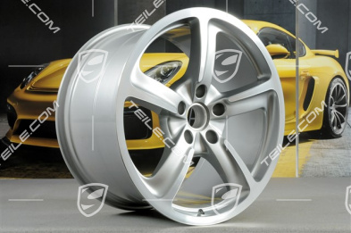 20-inch wheel, Sport Techno, 11,5J x 20 ET48, silver met.